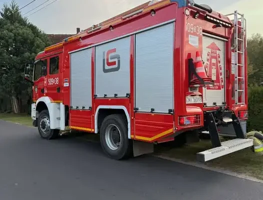 Olsza: strażacy z OSP Sułów usuwali gniazdo owadów