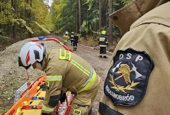 Strażacy z gminy Krasnobród doskonalili walkę z pożarami lasów
