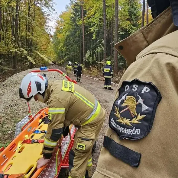 Strażacy z gminy Krasnobród doskonalili walkę z pożarami lasów