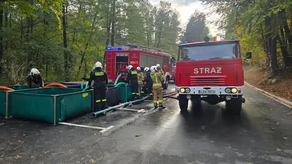 Gminne ćwiczenia pożarnicze w Trzesinach: strażacy szkolili się z gaszenia lasu