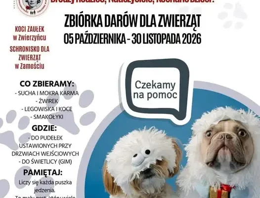 Szkolna akcja charytatywna dla zwierząt ze schroniska w Zamościu i „Kociego Zaułka” w Zwierzyńcu