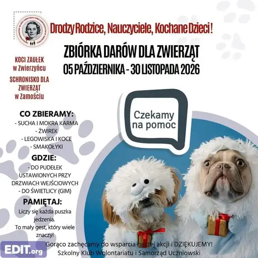 Szkolna akcja charytatywna dla zwierząt ze schroniska w Zamościu i „Kociego Zaułka” w Zwierzyńcu