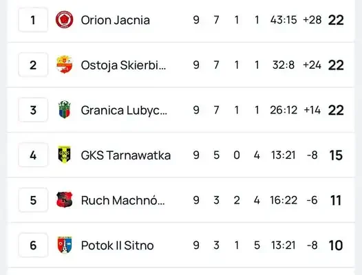 Ostoja Skierbieszów kończy jesień na 2. miejscu. Sześć zwycięstw z rzędu!