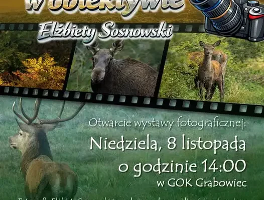 Wystawa fotografii Elżbiety Sosnowski w GOK Grabowiec