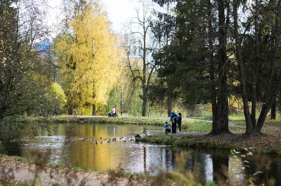 Jesienna wyprawa uczniów klas I–III do parku w Świdnikach